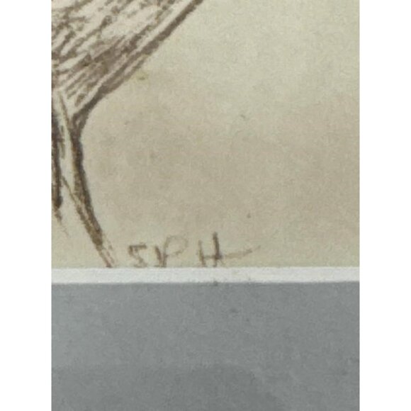 Sally B Hooff Original Ink Drawing Tree Study PEI Artist Vintage Artwork - Picture 3 of 4